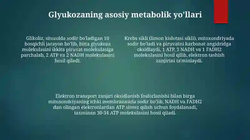 Glukozametobalizmivauningahamiyati 4