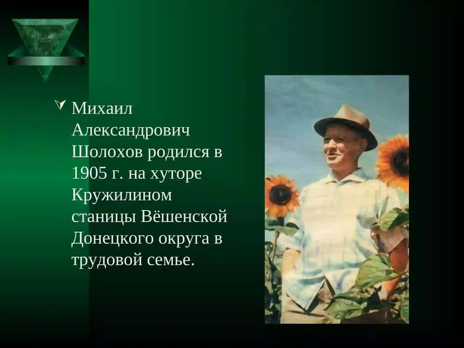 Михаил Александрович Шолохов. Жизнь и творчество 4