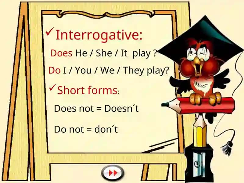 Present Simple Grammar Study 4