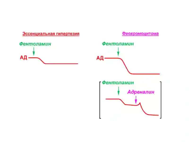 Адреноблокаторлар 4