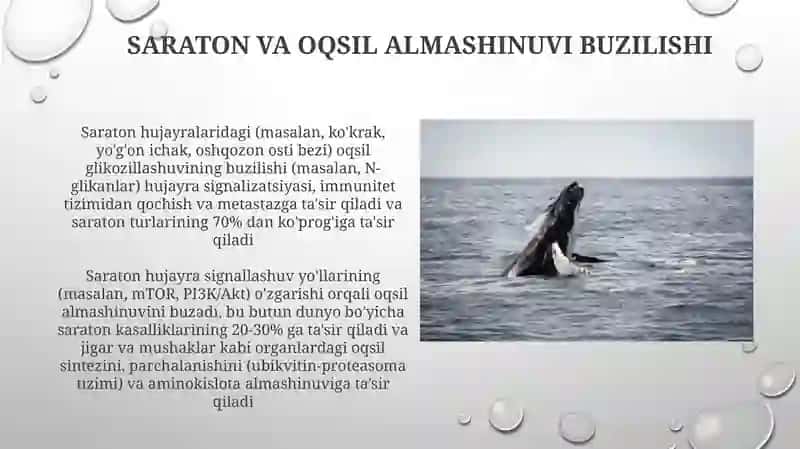 Hayvonlar organizmida oqsil almashinuvining buzulishi 4