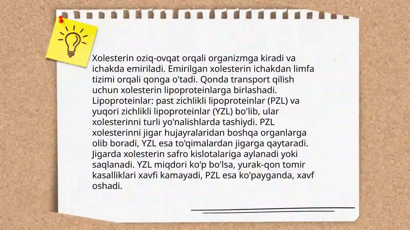 Murakkab lipidlar almashinuvi. Xolesterin metabolizmi. Yoglar almashinuvini boshqarilishi 4