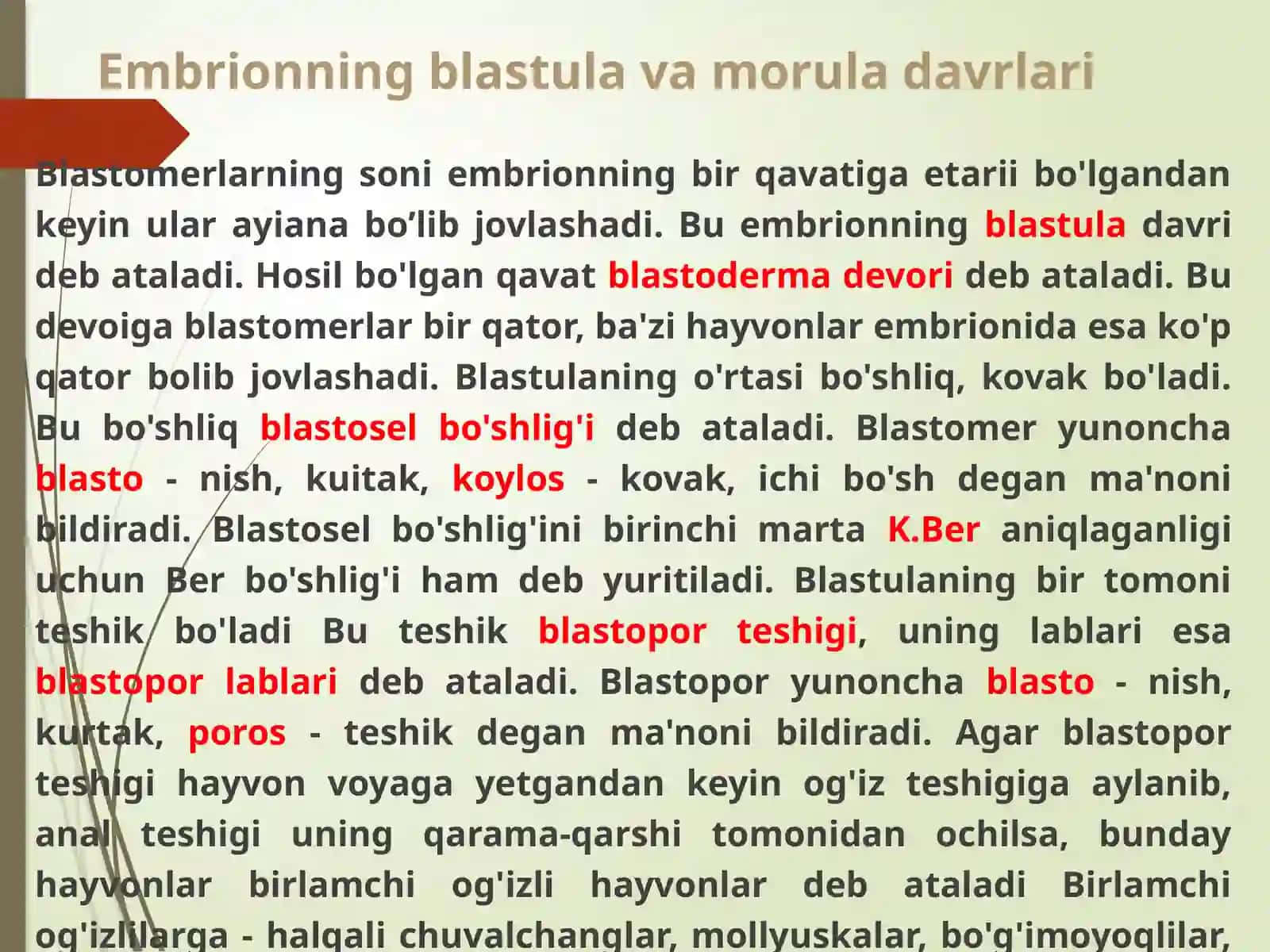 IMPLANTATSIYA. MAYDALANISH. BLASTULA, MORULA, NEYRULA. GASTRULA VA UNING TIPLARI. EMBRIONAL VARAQLARINI HOSIL BO’LISHI 4