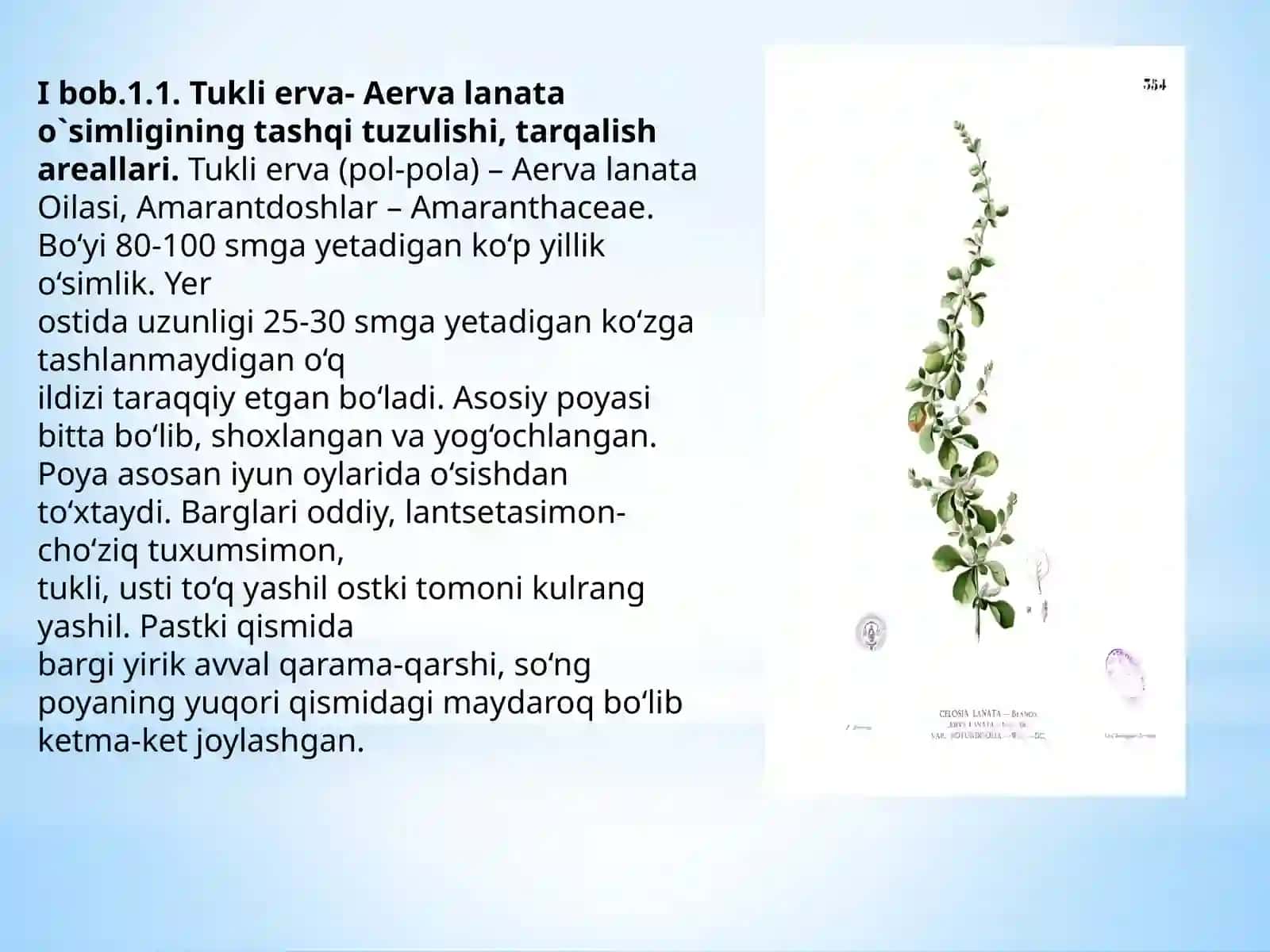 BIOINJENERIYA VA OZIQ-OVQAT XAVFSIZLIGI FAKULTETI DORIVOR O’SIMLIKLARNI YETISHTIRISH VA QAYTA ISHLASH TEXNOLOGIYASI YO’NALISHI 191-GURUH TALABA 4