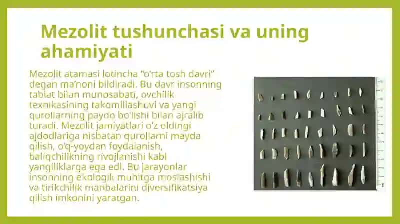 Mezolit davrining oʻrganilish darajasi, xronologiyasi va davrlashtirish 4