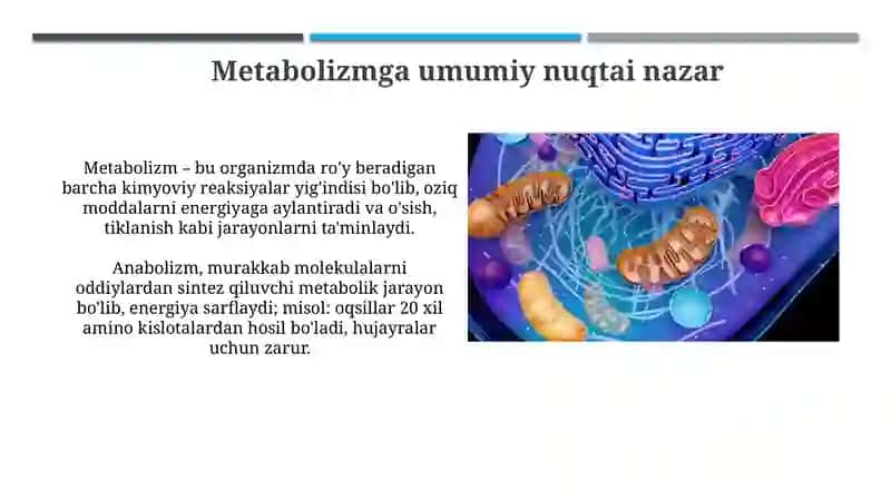 Insulin va glyukagonning roli 4
