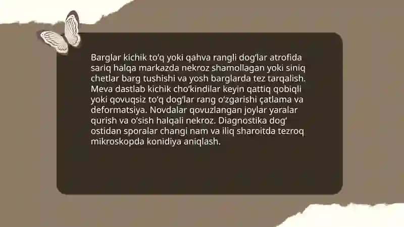 Limon daraxtidagi to'q dog' kasalliklari va samarali kurash usullari 4