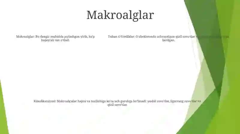 Tuban OʻSimliklarning Va Kilasfikatsiyasi 4