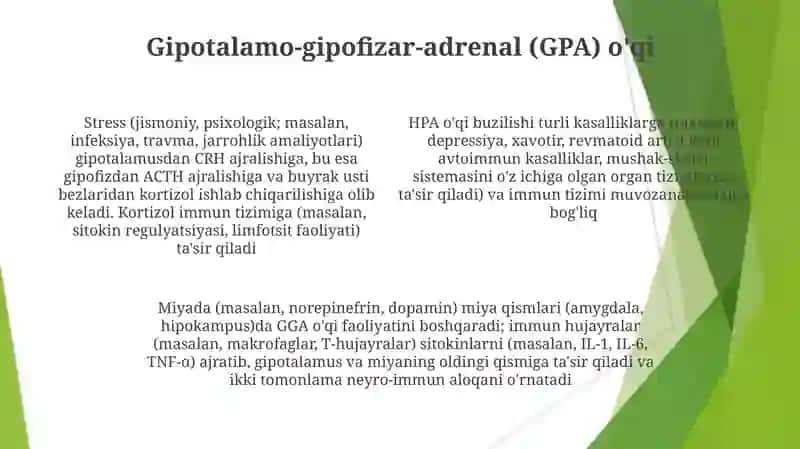 Organizmning nerv, immun-endokrin boshqariluvi 4