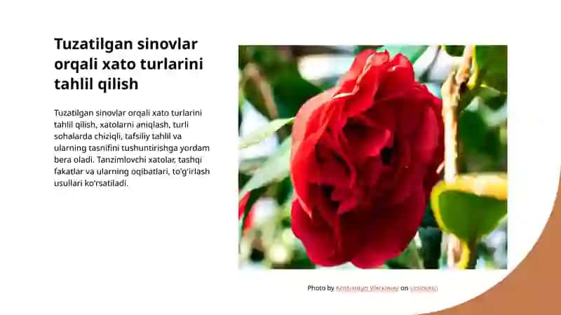 Xatoning belgilari va tavsifi 4