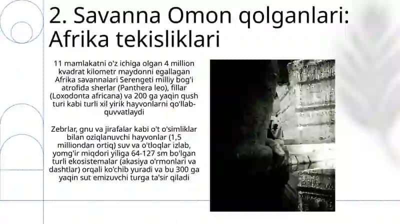 O'rmon do'stlari: Tojdan yergacha 4