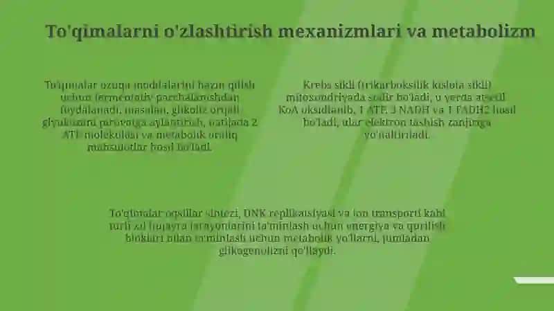 Ajratuvchi, jamğaruvchi, assimilyatsiyalovchi toʻqimalar 4