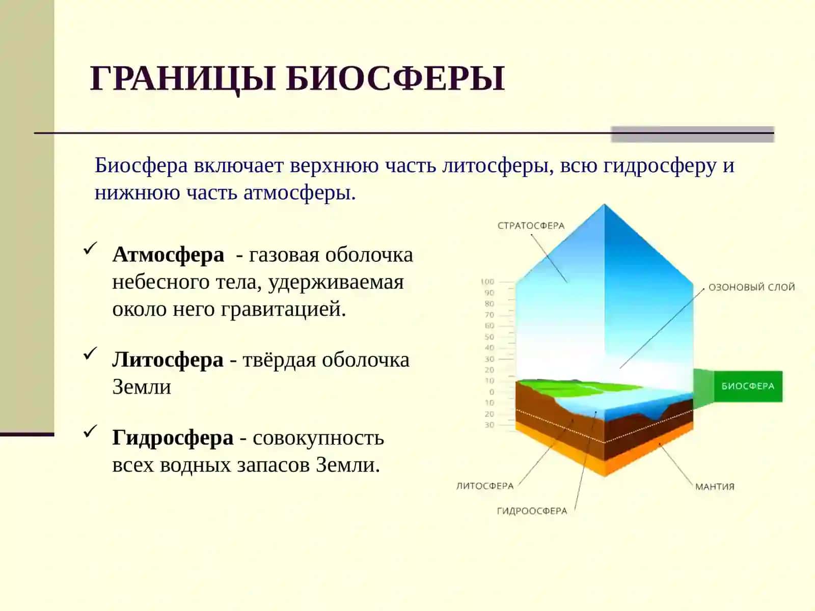БИОСФЕРА И ЧЕЛОВЕК 4