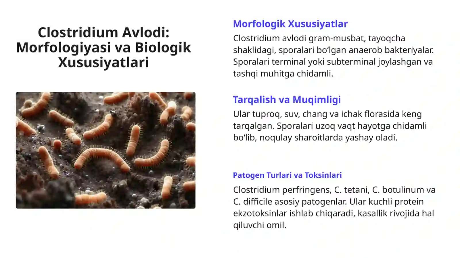 Klostridial va Noklostridial Xurujlar va Qonunchilikdagi Ahamiyati 4