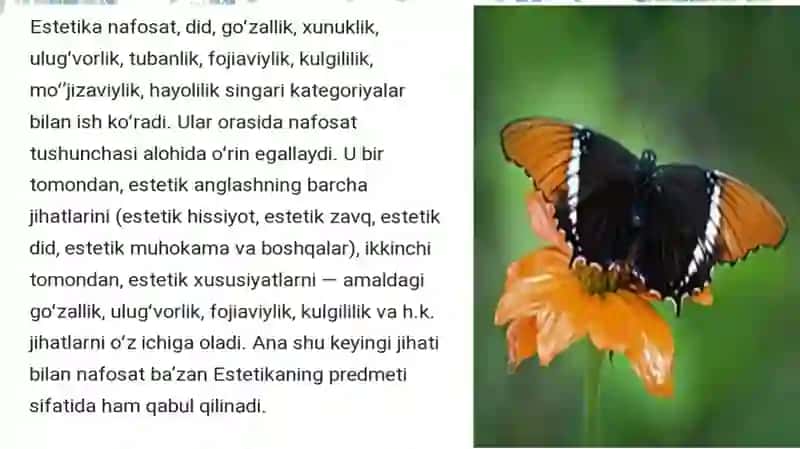 Estetikaning asosiy kategoriyalari 4