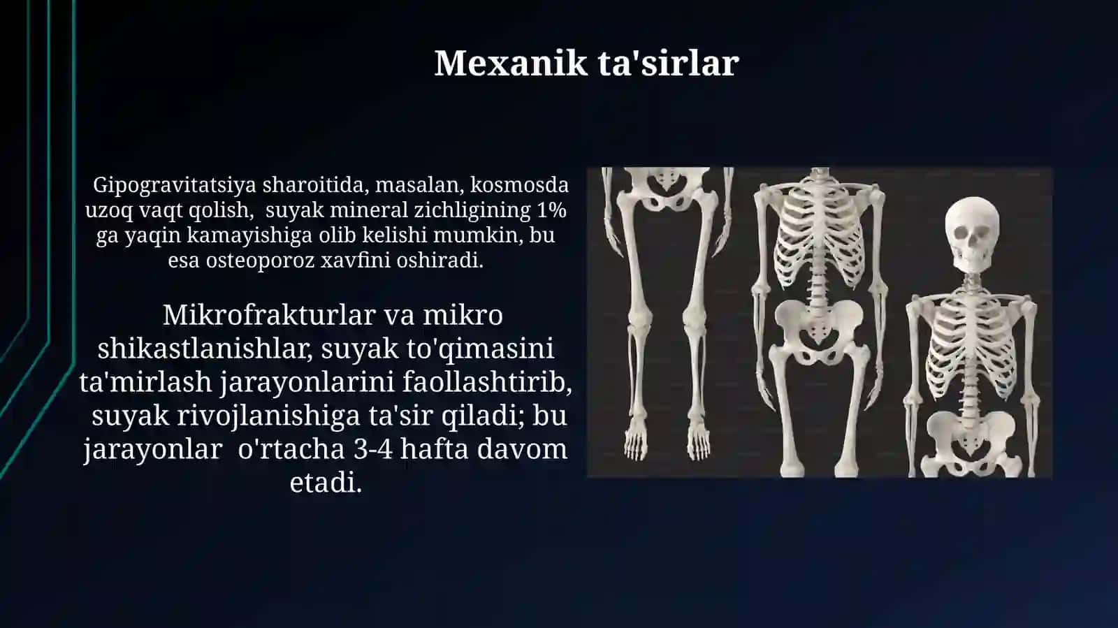 Suyaklarning òsishi va rivojlanishiga tasir otkazuvchi omillar 4