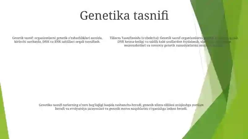 Tillarni Tasniflanishi 4