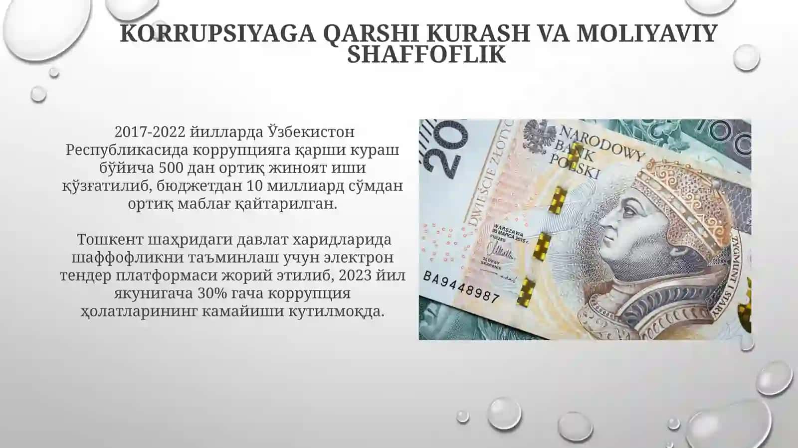 Davlat moliyaviy nazorati 4