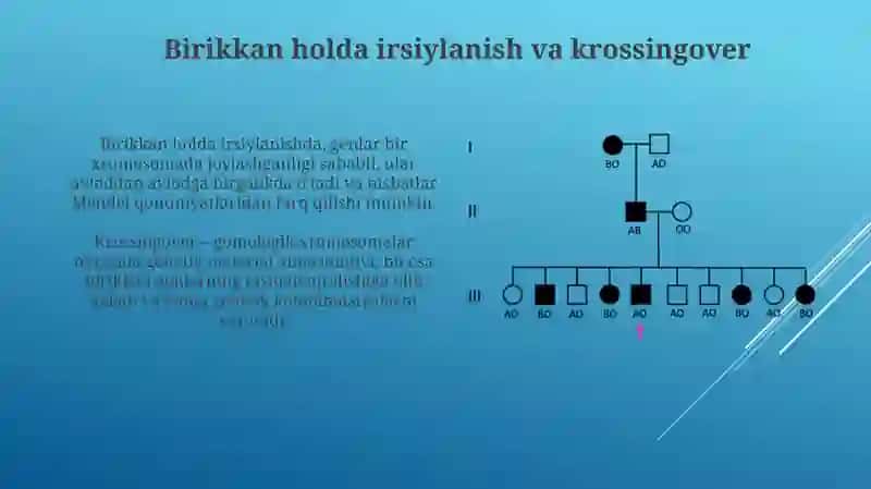 Morgan qonunlari. Jins genetikasi. Jinsga bogʻliq kasalliklar 4