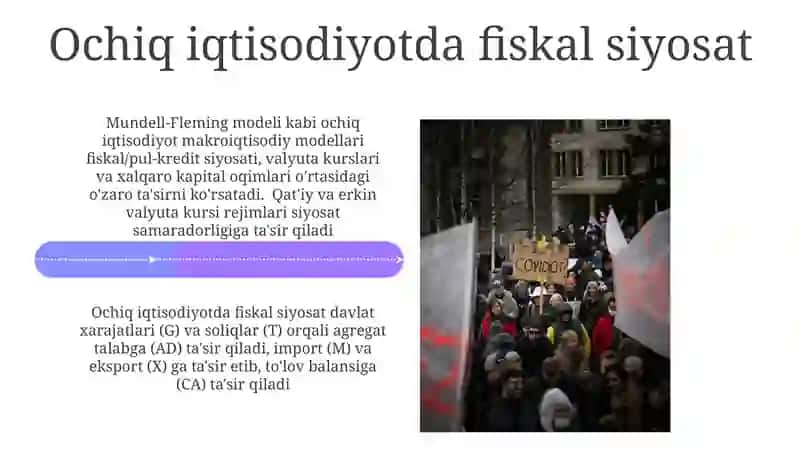 Ochiq iqtisodiyotda makroiqtisodiy siyosat 4