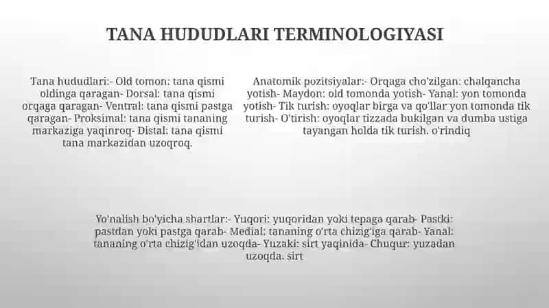 Anatomik Iboralar Tarjimasi 4