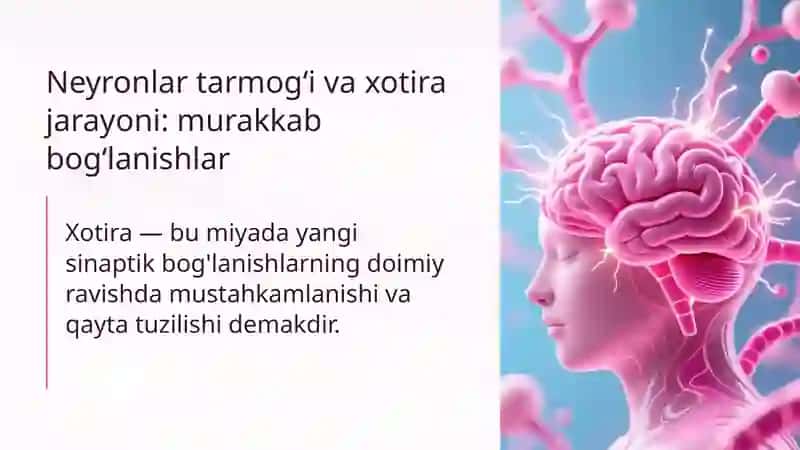 Xotira rivojining asosiy omillari va shart-sharoitlari 4