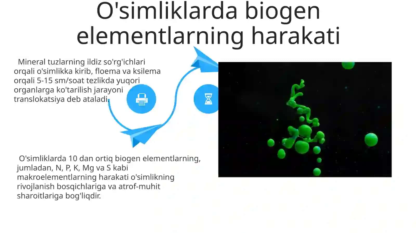 Atomlarning biogen migratsiyalari va biomassa 4