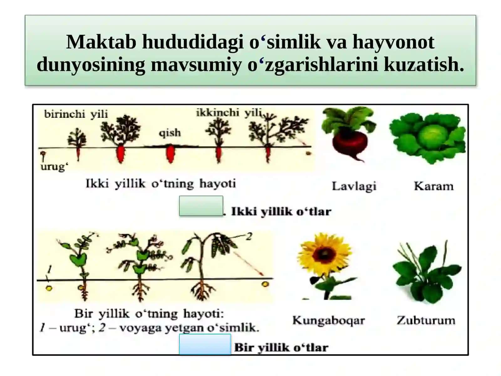 7-amaliymashgʻulot 4