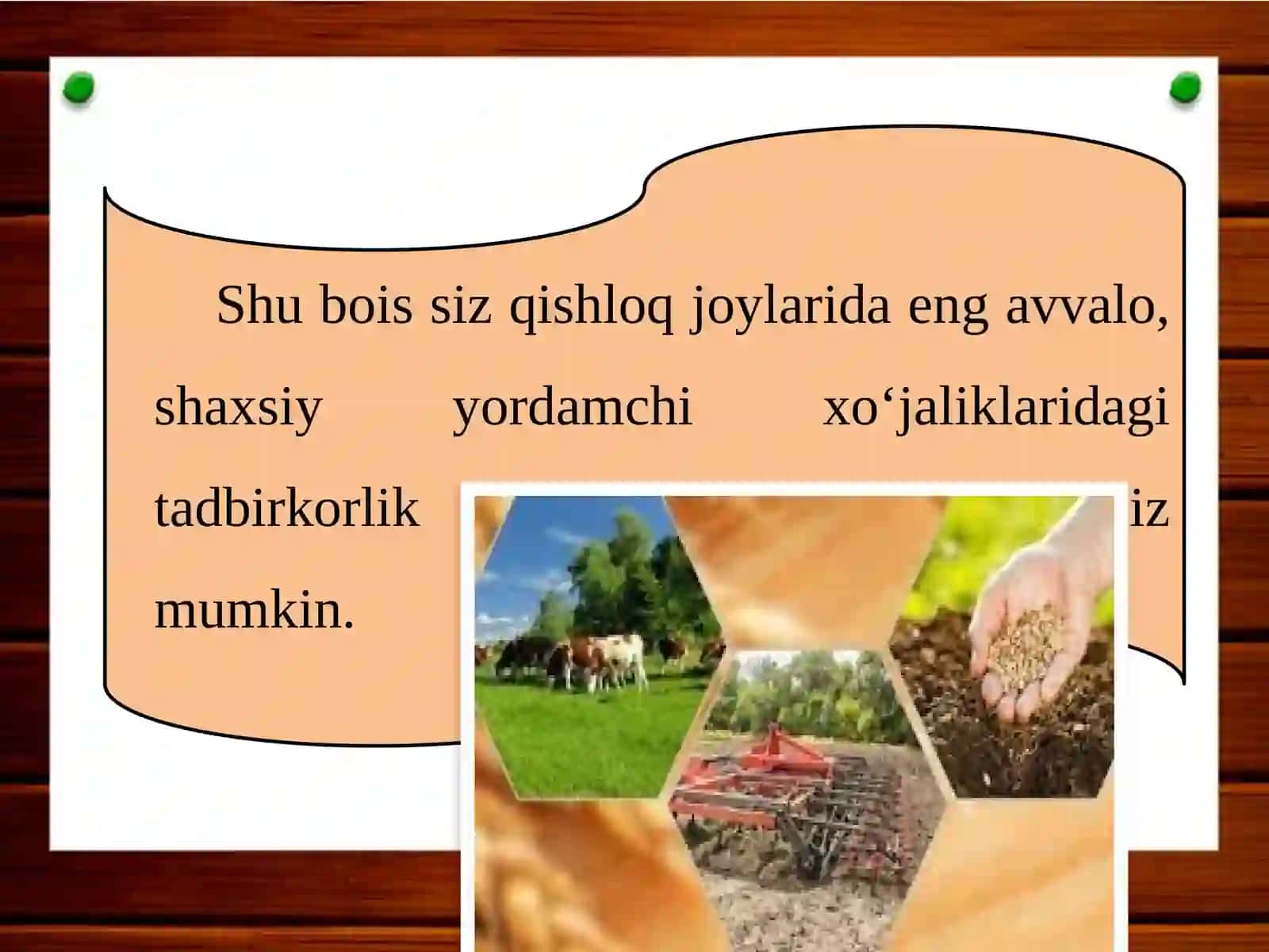 QISHLOQ JOYLARDA TADBIRKORLIK 4