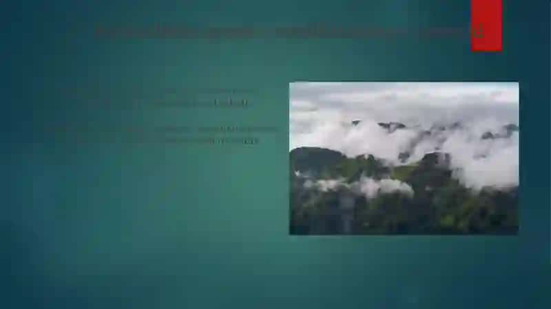 Landshaftlarning balandilik mintaqalanishi va landshaft yaruslari 4