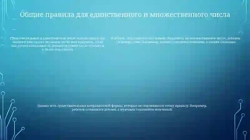 Склонение Имен Существительных В Единственном И Множественном Числе 4