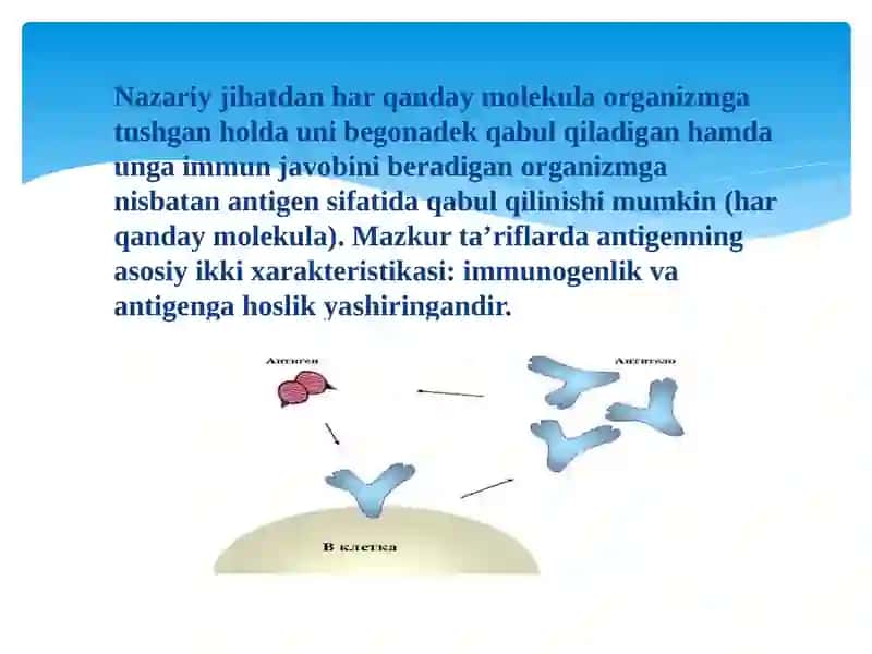 Antigen va antitana. Immunoglobulinlar: tuzilishi va vazifasi 4