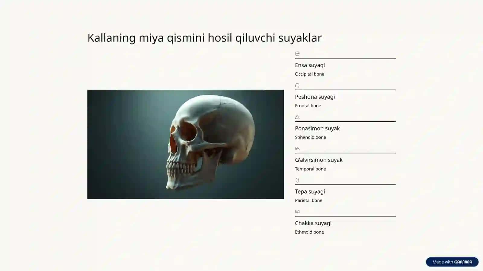 Inson tanasining murakkab hududlari 4