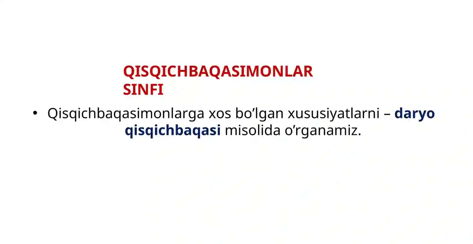 BO’G’IMOYOQLILAR TIPI Zoologiya 5-dars 4