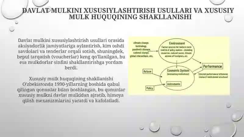 Xususiylashtirish va Mulk Huquqining Shakllanishi: Iqtisodiy Islohotlarning Asosi 4
