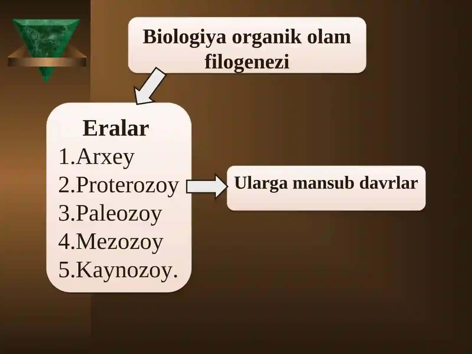 Organik olam filogenezining umumiy tasnifi 4