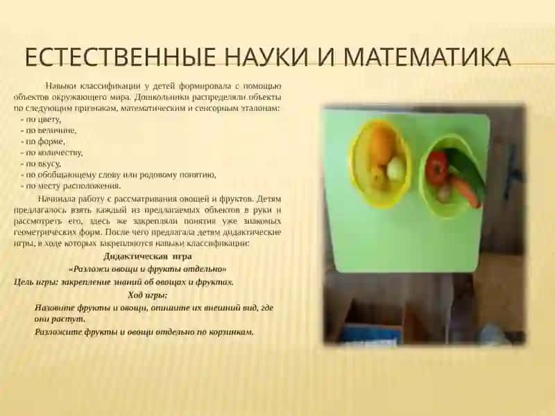 Технология STEAM 4