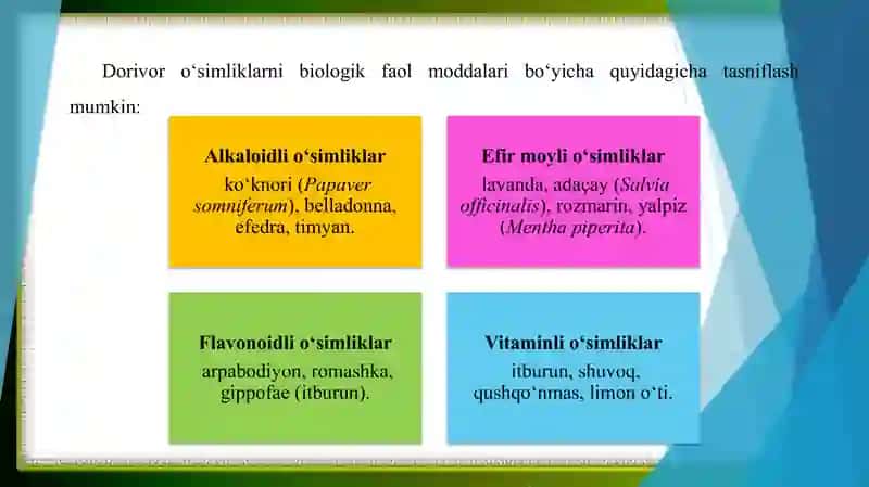 Istiqbolli dorivor oʻsimliklarni madaniy sharoitlarda oʻstirish 4