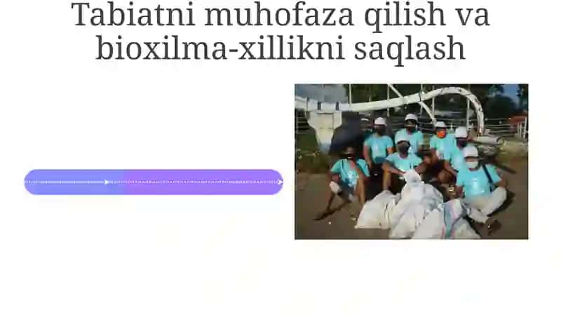 Ekologiya sohasida maxsus vakolatli davlat boshqaruvi organlari va ularning vazifalari 4
