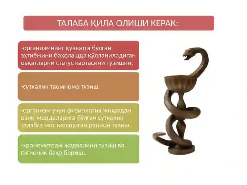Ақлий меҳнат билан машғул аҳоли гуруҳларини овқатланишларини суткалик озиқ-овқат меъёрларига мос келиши 4