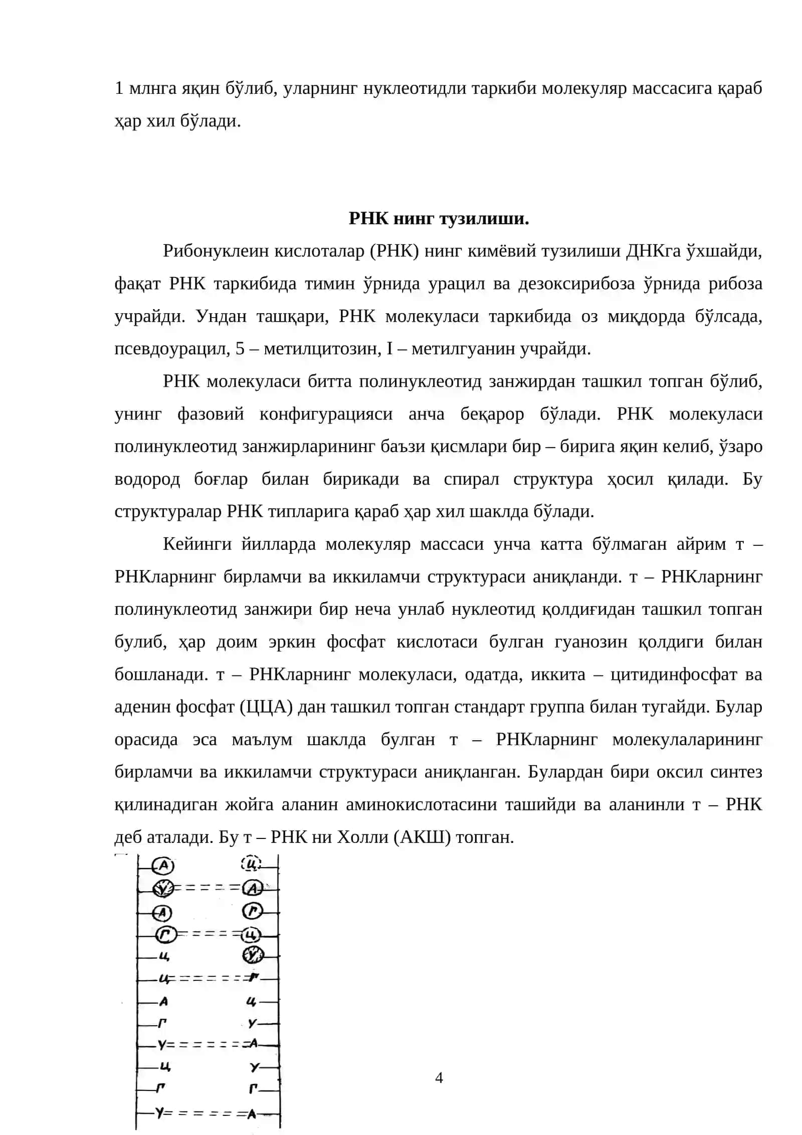 М-РНК, Т-РНК р-РНК оксил синтезида ахамяти 4