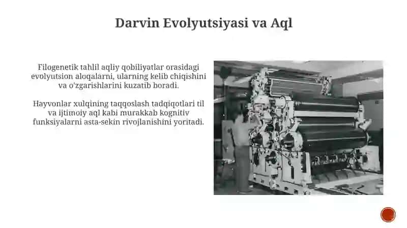 Psixikaning filogenetik taraqqiyoti 4