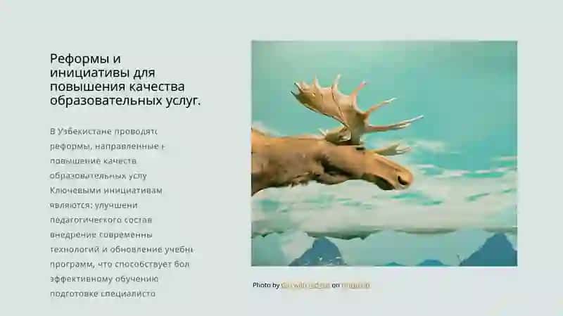 Государственная политика и законодательство Республики Узбекистан в области образования и здравоохранения 4