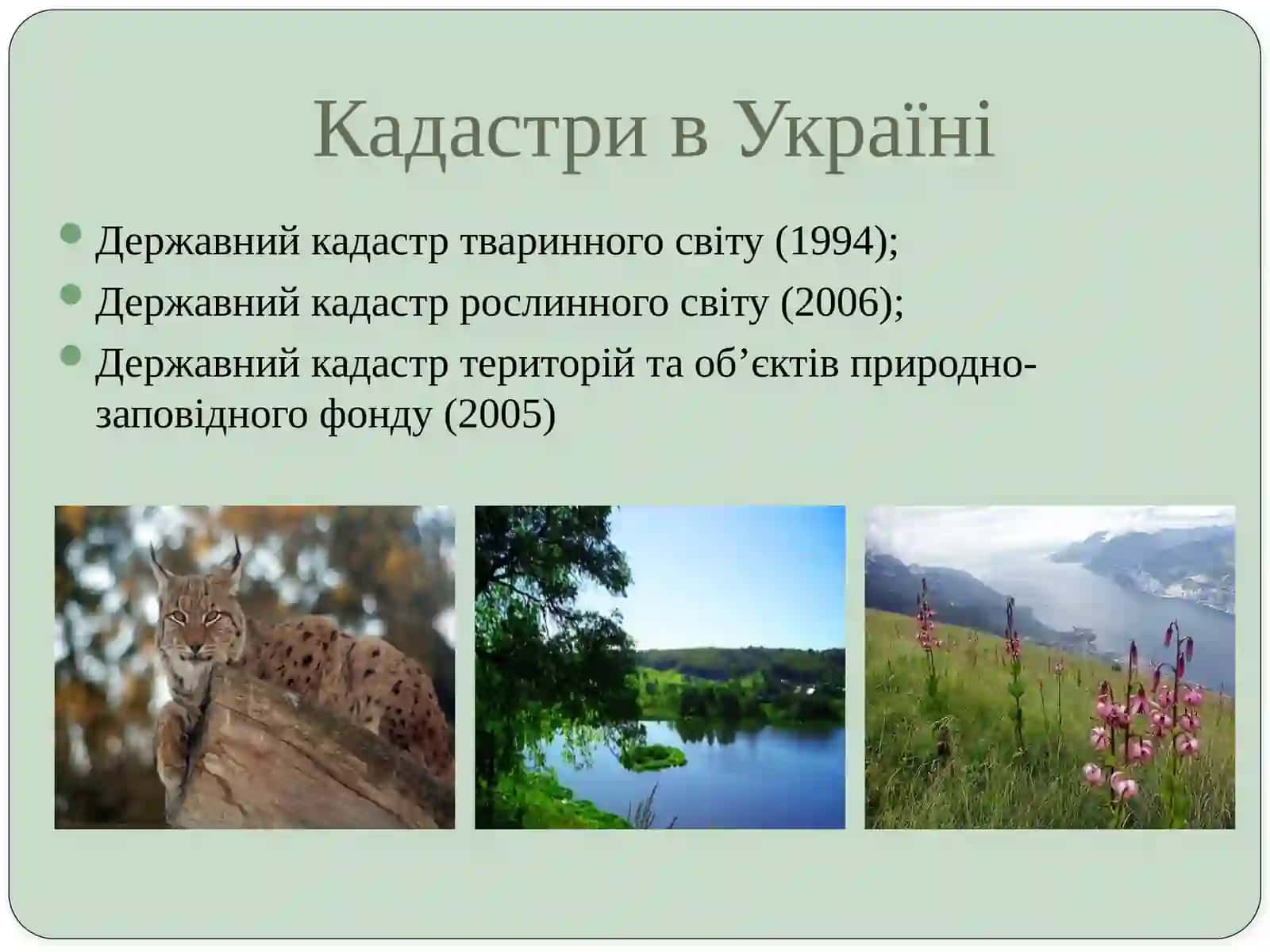 Правове забезпечення охорони довкілля в Україні 4