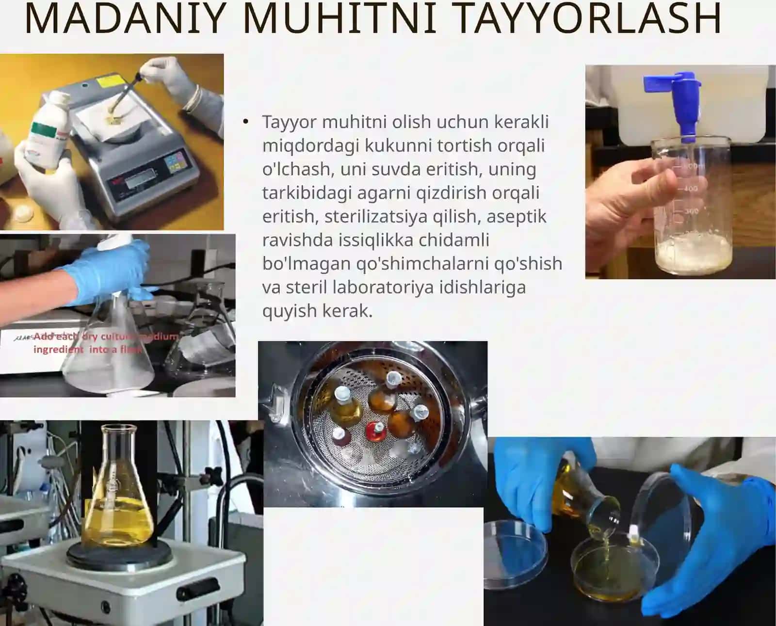 Mikroorganizmlarning NAFAS OLISHI 4