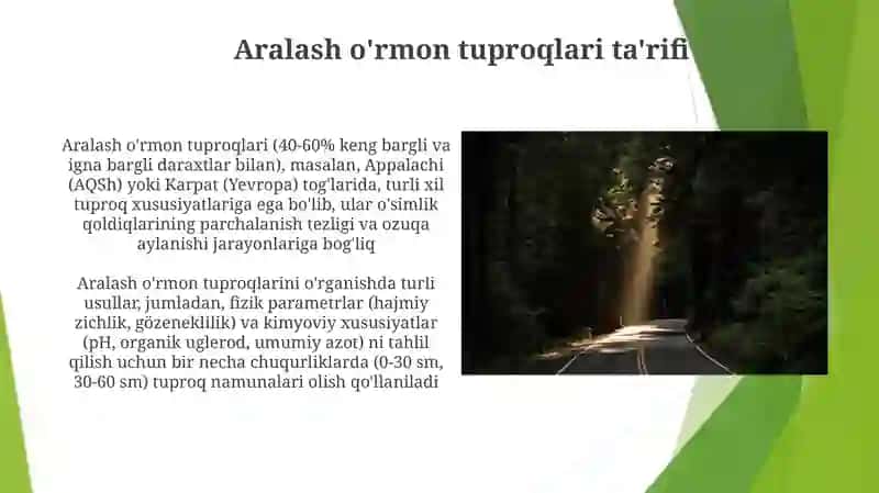 Aralash oʻrmonlar tuproqlarini oʻrganish 4