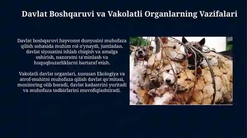 O'zbekiston Respublikasi hayvonot dunyosini muhofaza qilish to'g'risidagi qonun 4