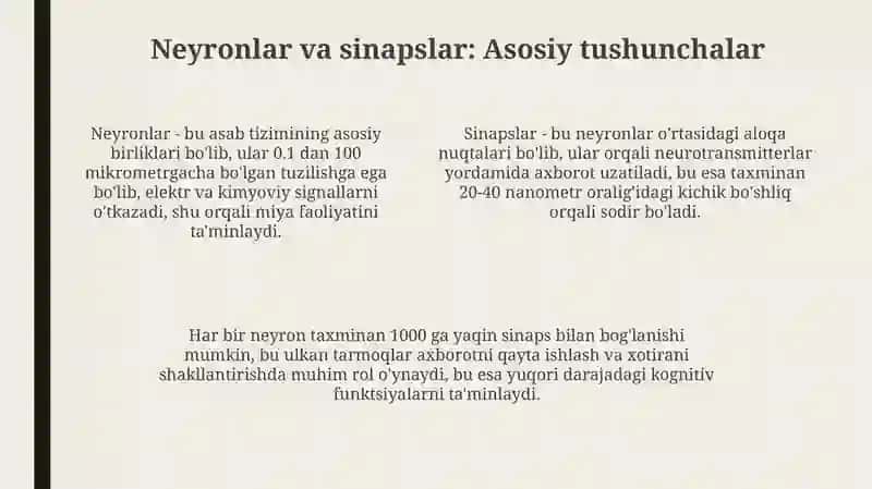 Nervtizimi 4