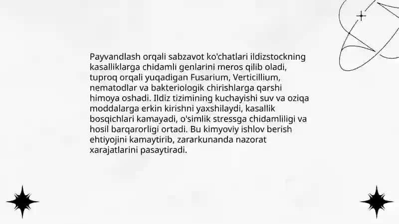 Sabzavot ekinlari ko'chatilarini payvandlash afzalliklari 4