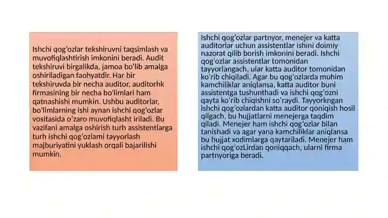 Auditda hujjatlashtirish va audit ishchi hujjatlari 4